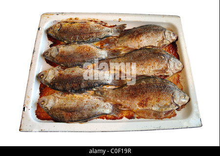 Pesce fritto il carassio sul protwin, è isolata, sfondo bianco Foto Stock