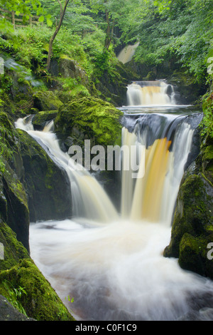 Pecca Twin Falls, Ingleton Falls, Ribblesdale, Yorkshire Dales National Park, Regno Unito Foto Stock