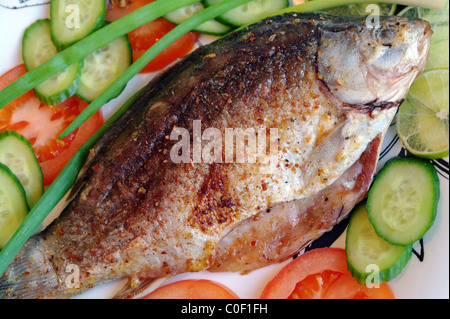 Pesce fritto il carassio su una piastra con i pomodori, i cetrioli, le cipolle e calce Foto Stock