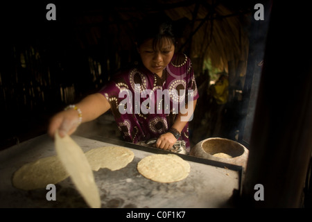 Un Lacandon donna indigena cuochi tortilla di mais nella sua casa di Lacanha, Chiapas, Messico Foto Stock