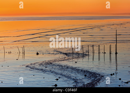 Tramonto sulla spiaggia e velme a Goldcliff vicino a Newport Gwent Wales UK Foto Stock