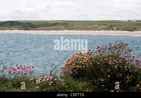 Vista di Cruden Bay da dietro il porto, Aberdeenshire, a nord est della Scozia Foto Stock