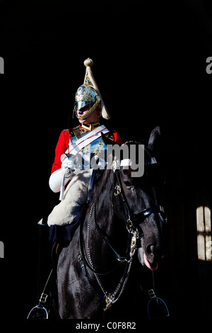 Soldato del cavallo Whitehall London Inghilterra England Foto Stock