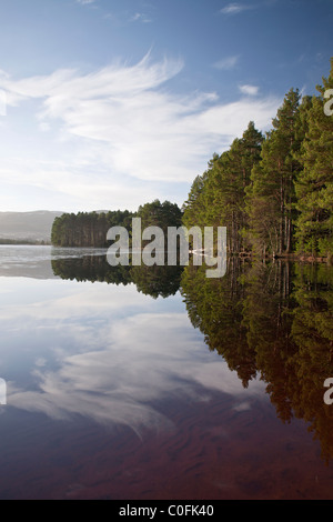 Alberi da foresta riflette in Loch Garten sul freddo mattino, Scotland, Regno Unito Foto Stock