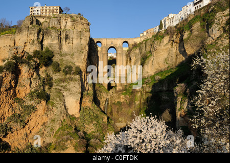 Ronda tajo assolato immagine Puente Nuevo Canyon Gorge entroterra " costa del sol " Viaggiare Andalusia Spagna Foto Stock