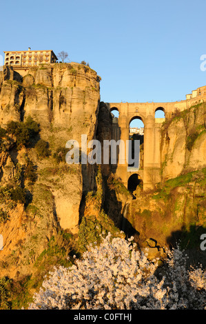 Ronda tajo assolato immagine Puente Nuevo Canyon Gorge entroterra " costa del sol " Viaggiare Andalusia Spagna Foto Stock