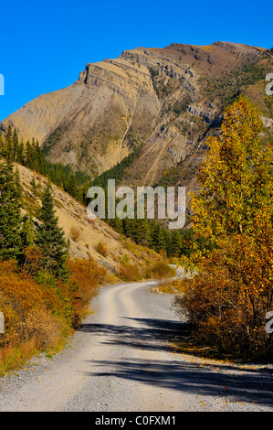 Una strada sterrata che conduce attraverso il fogliame di autunno per le montagne. Foto Stock