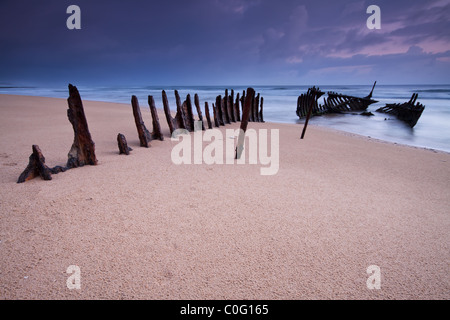 Relitto sulla spiaggia australiana all'alba Foto Stock