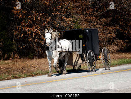 Amish buggy, Ozarks regione del Missouri Foto Stock