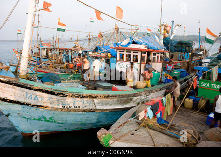 Barche da pesca allineate nella baia Foto Stock