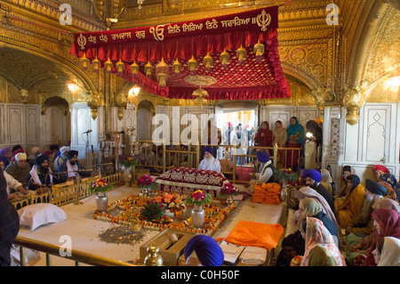 La lettura del Granth Sahib dentro il Hari Mandir (Divina Tempio), Tempio d'oro di Amritsar Punjab, India Foto Stock