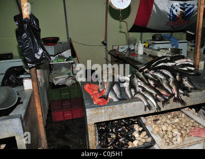 Wet mercato del pesce in stallo, pesare-scatole di scale di cozze cardidi argento rosso di pesce Filetti di pesce, Feria comunali, Ancud, Chiloe, Cile Foto Stock