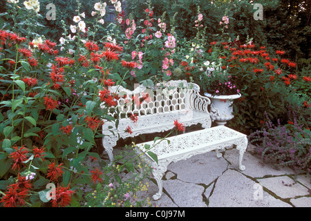 HOLLYHOCKS E BEE BALM MONARDA SURROUND METALLO BIANCO mobili da giardino in un giardino americano. L'estate. Foto Stock