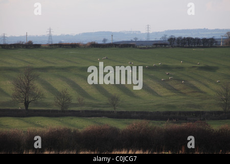 Prova del borgo medievale di ridge e il solco agricoltura in un campo vicino a Whissendine in Rutland, Inghilterra Foto Stock