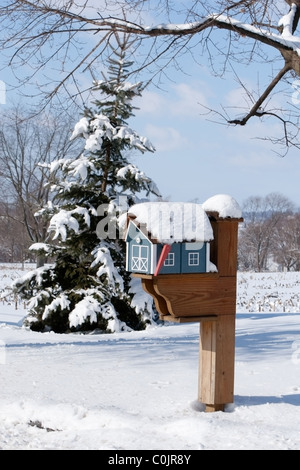 Coperta di neve a noi nella cassetta postale di Lancaster, PA Foto Stock