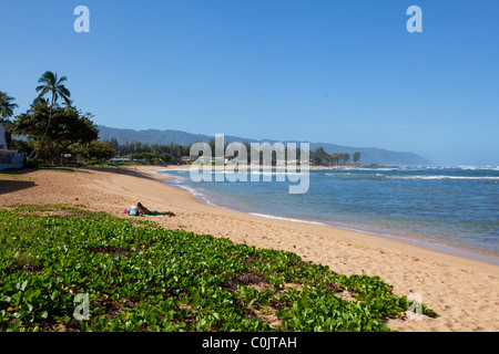 Haleiwa Ali'i Beach Park, North Shore Oahu, Hawaii Foto Stock