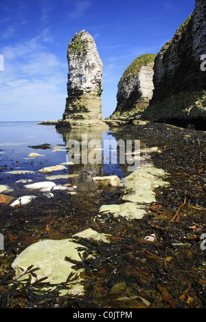 Una pila di mare nella baia di Selwick sotto Flamborough Head, Yorkshire Foto Stock