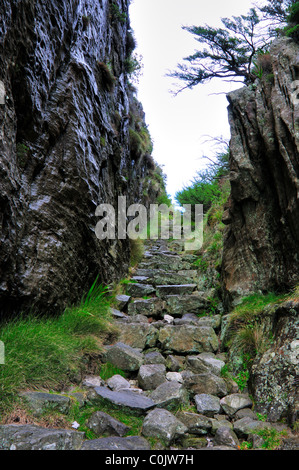 Sentiero escursionistico attraverso Platteklip Gorge. Table Mountain National Park, di Città del Capo, Sud Africa. Foto Stock