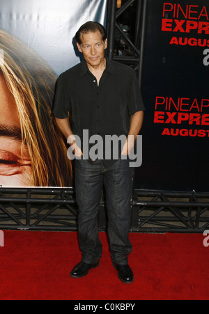 James Remar Los Angeles Premiere di "Ananas espresso" tenutasi presso il Mann Village Theatre di Westwood, California - 31.07.08 : Foto Stock