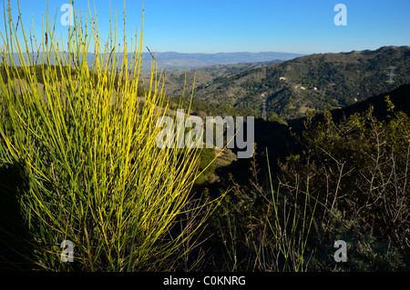 Il nuovo Almaden quicksilver Miniera, San Jose, California CA Foto Stock