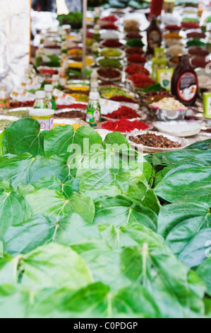 Close-up di betel lascia con ingredienti in una fase di stallo, mestieri Surajkund Mela, Surajkund, Faridabad distretto, Haryana, India Foto Stock
