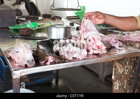 Teste di capra per la vendita nel mercato in Fort Cochin, Kerala, India Foto Stock