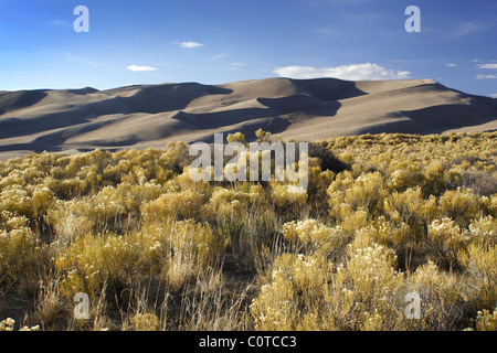 Great Sand Dunes National Park, COLORADO Foto Stock