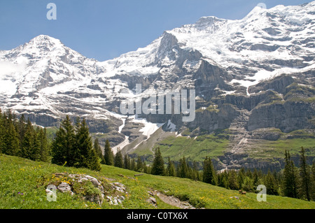 Ottima vista del Monch e Jungfrau in estate. Foto Stock