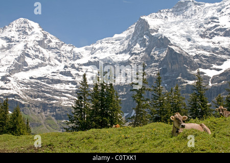 Ottima vista del Monch e Jungfrau in estate. Foto Stock