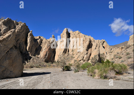 Coachwhip Canyon, Anza-Borrego Desert State Park, CA 110220 39424 Foto Stock