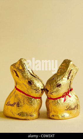 Due simpatici baby cioccolato coniglietti nuzzling nasi. Foto Stock