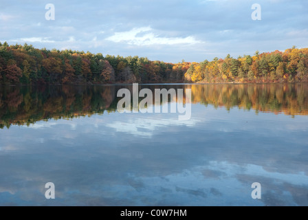 Vista di Walden Pond vicino a Concord in Massachusetts che mostra lo stagno e gli alberi con i colori dell'autunno Foto Stock