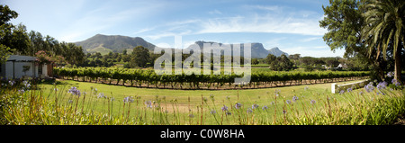 Panorama di un produttore di vino in Sud Africa, Città del Capo Foto Stock