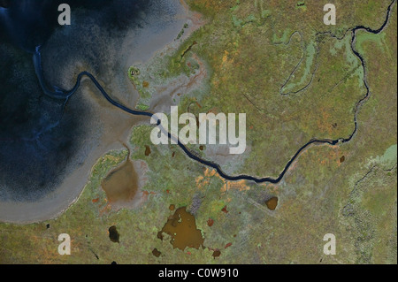 Vista aerea sopra vagare flusso attraverso le zone umide nella California del nord Foto Stock