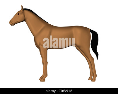 Anatomia del cavallo pelle Foto Stock