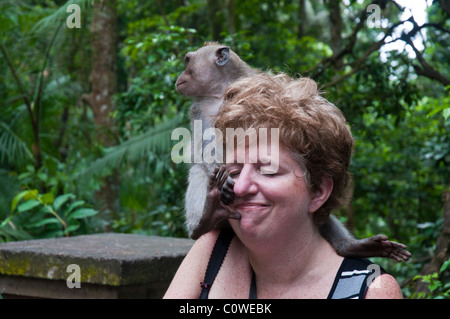 I turisti con long-tailed macacques nella Foresta delle Scimmie di Ubud Bali Indonesia Foto Stock