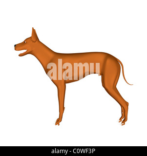 Illustrazione del cane Foto Stock