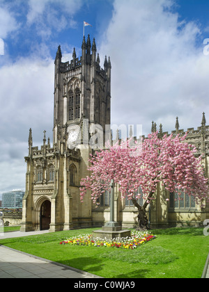 A sud il portico e la torre, Cattedrale di Manchester Foto Stock