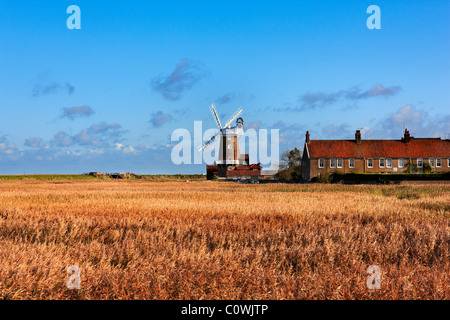 Cley accanto al mare, Norfolk. Guardando attraverso il reed paludi a Cley windmill sul bordo del villaggio. L'autunno. Foto Stock