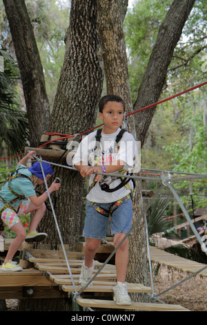 Florida Seminole County,Orlando,Sanford,Central Florida Zoo & and Botanical Gardens,zoom Air Adventure Park,tetto di alberi d'albero d'albero d'albero d'aria,corda brid Foto Stock