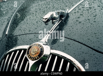 Badge su una Jaguar MKII 3.4 ricoperto di gocce di pioggia - Auto con guida a destra da 1959-67 Foto Stock