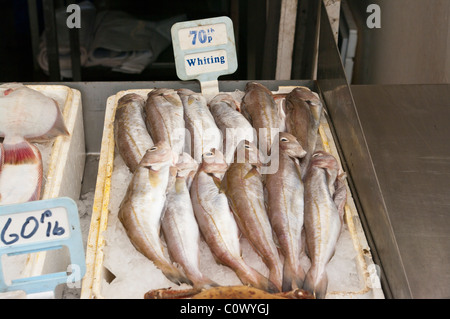 Appena catturati Whiting su un pesce in stallo Foto Stock