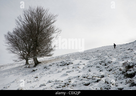 Due escursionisti a piedi attraverso la coperta di neve montagne di Ponga, Asturias, Spagna. Foto Stock