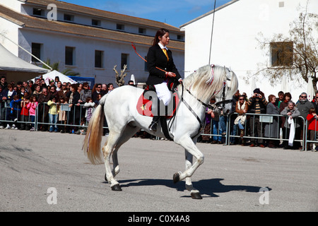Rider eseguendo minorchina dressage Foto Stock