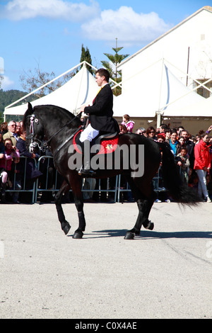 Rider eseguendo minorchina dressage Foto Stock