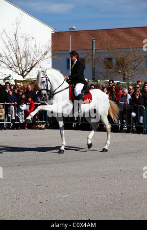 Rider eseguendo minorchina dressage Foto Stock