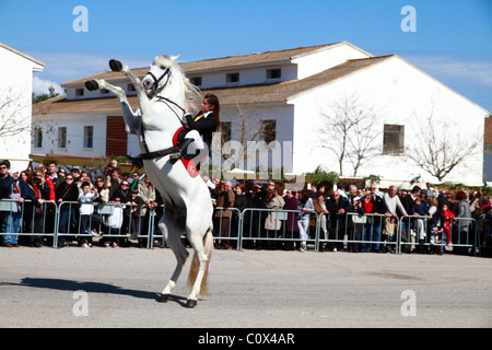 Rider eseguendo minorchina dressage Foto Stock
