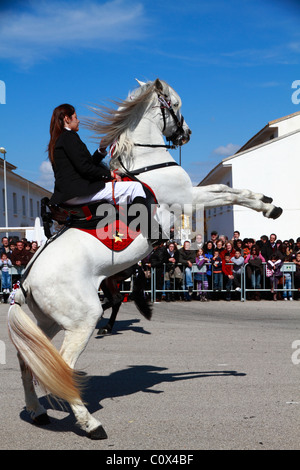 Rider eseguendo minorchina dressage Foto Stock
