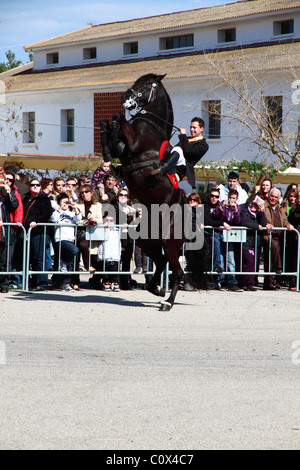 Rider eseguendo minorchina dressage Foto Stock