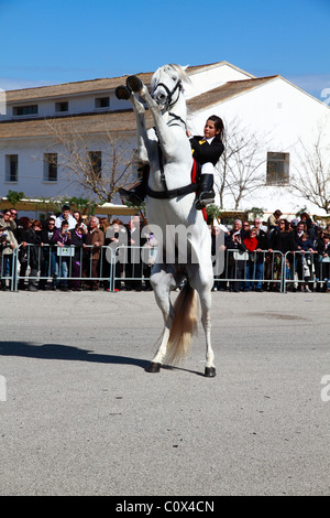 Rider eseguendo minorchina dressage Foto Stock